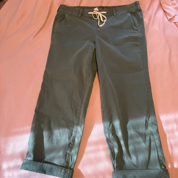 sz 2 TORRID Pull-On Weekend Straight Stretch Twill Pant NEW Dark Forest green - Picture 5 of 8